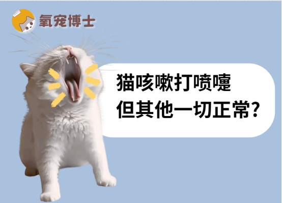 猫咳嗽打喷嚏但一切正常？别慌，这里有答案