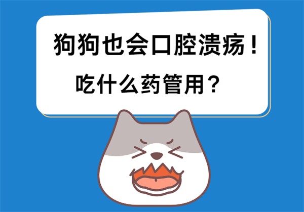 狗狗口腔潰瘍吃這個！快碼住！不是智商稅！