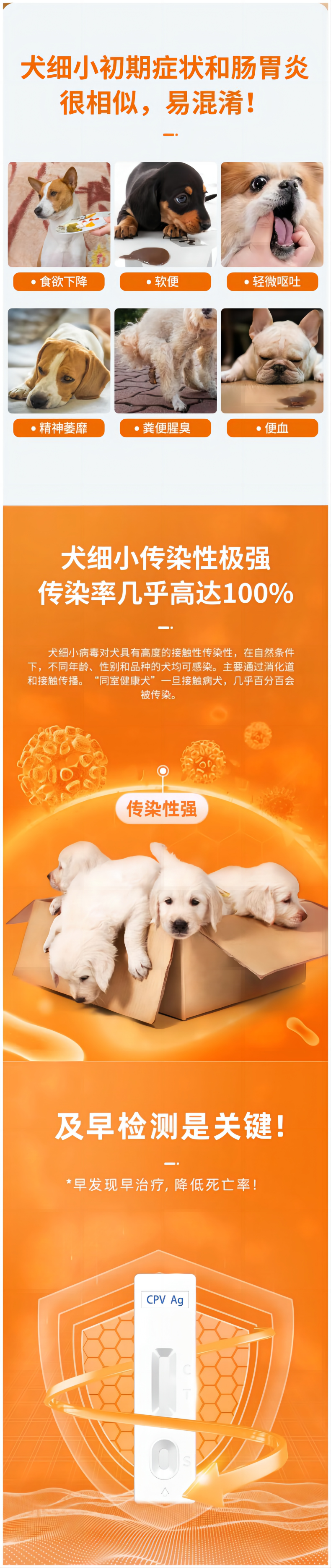 犬细小病毒胶体金检测试纸条（9-12）.png