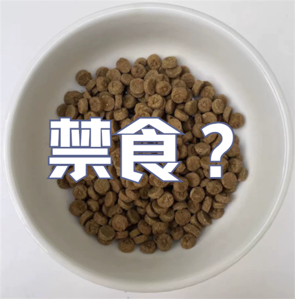 貓拉稀怎麼辦？