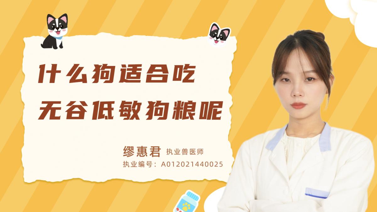 什么狗适合吃无谷低敏狗粮呢？