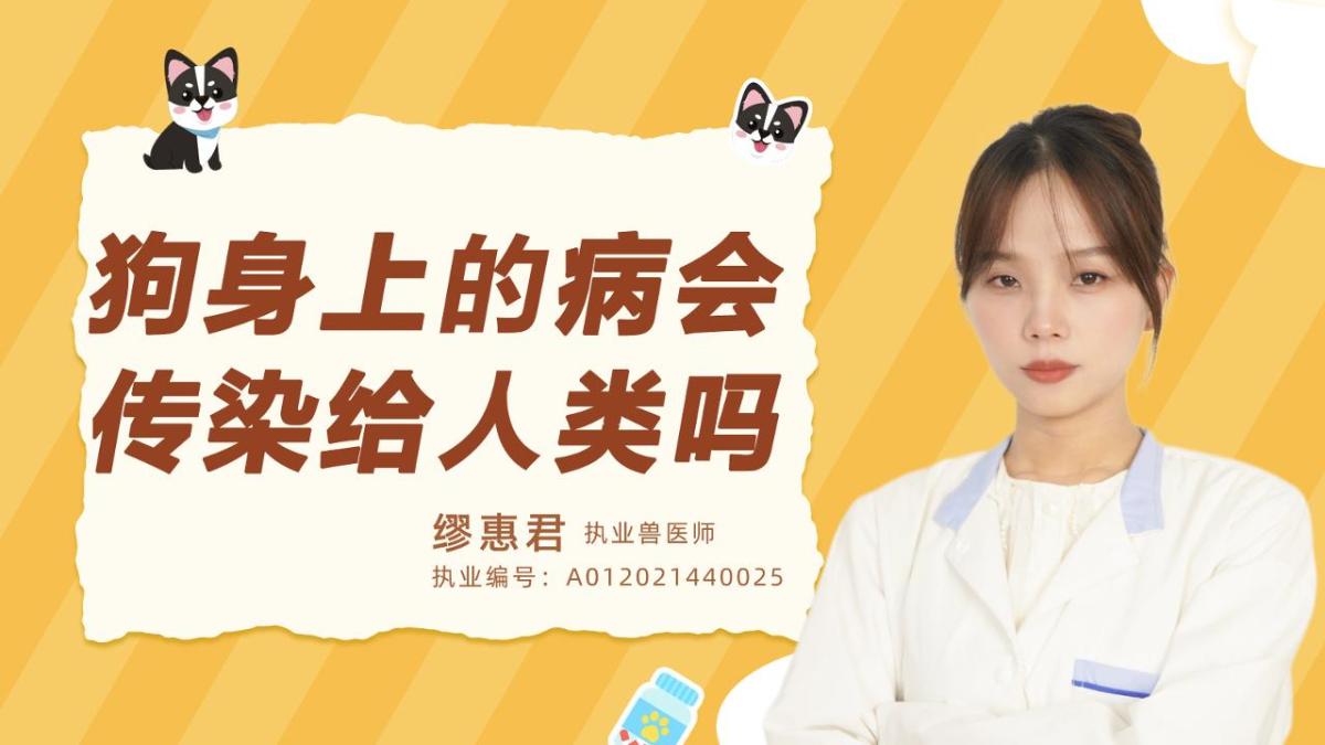 狗狗身上的病会传染给人类吗？