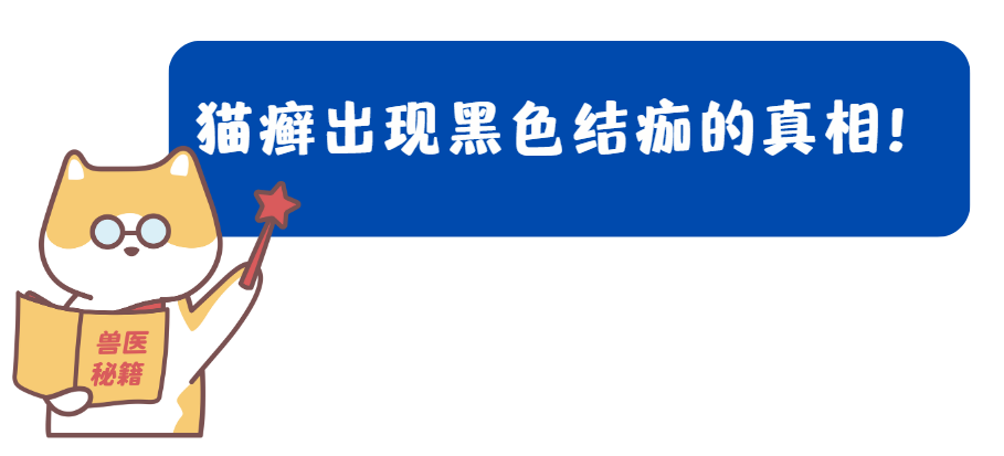 貓癬黑色結痂是嚴重了嗎？