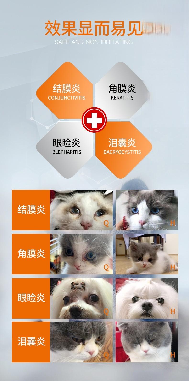 猫犬结膜炎