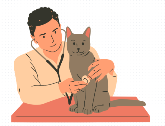 猫咪打喷嚏怎么回事？
