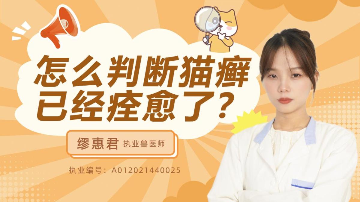 怎么判断猫癣已经痊愈了？
