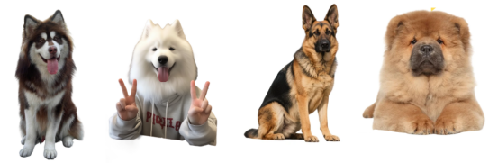 大型犬好养吗？