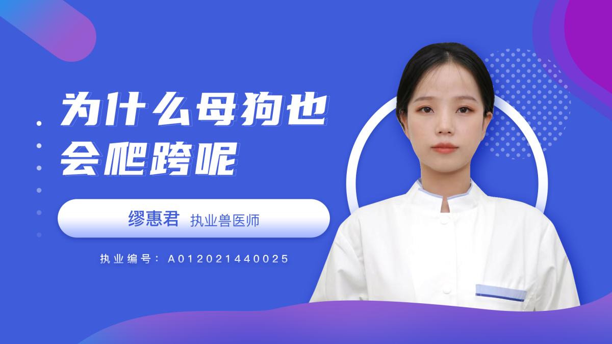 为什么母狗也会爬跨？