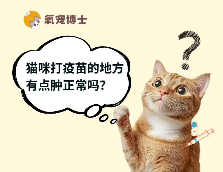 猫咪打疫苗的地方有点肿