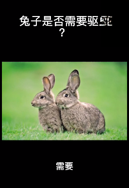 兔子是否需要驱虫？