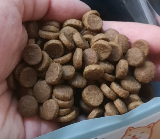 汪梵思狗粮