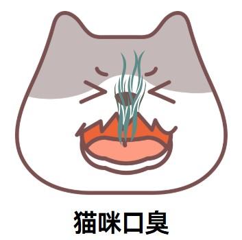 貓咪去口臭最快方法大揭秘