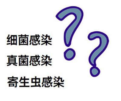 宠物健康警报！狗狗脱毛红肿烂皮护理