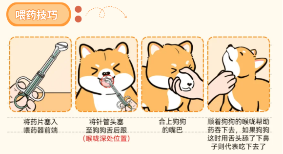 狗狗体内驱虫药怎么喂