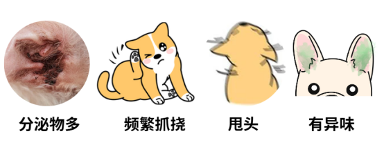 狗狗耳朵发炎