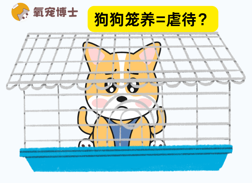 笼养狗狗=虐待？客观看清利弊，科学养宠不踩坑