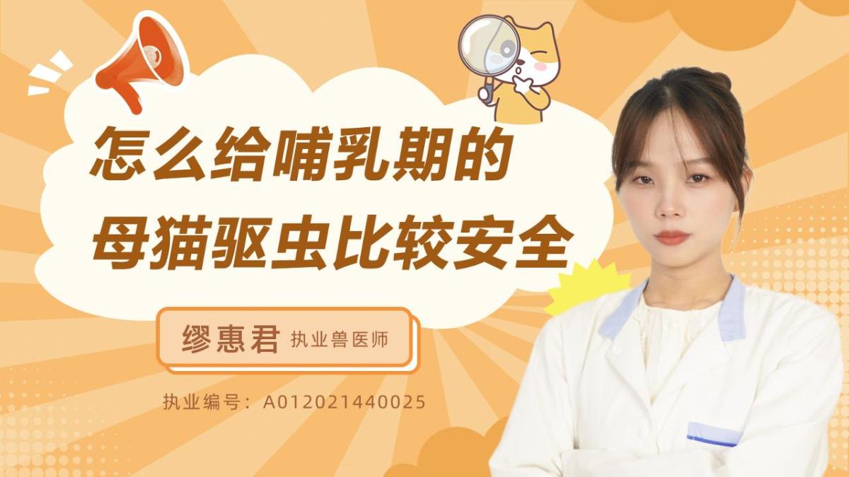 怎么给哺乳期的母猫驱虫比较安全？