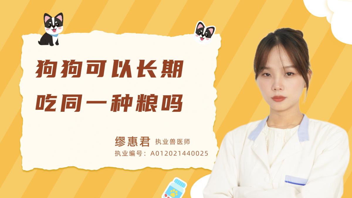 狗狗可以長期吃同一種狗糧嗎？