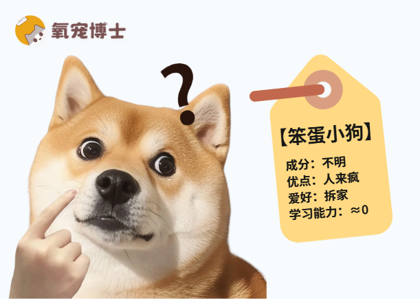 狗狗有这6个表现，可能是真笨！