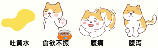 貓咪吐黃水有泡沫沒有精神怎么辦？