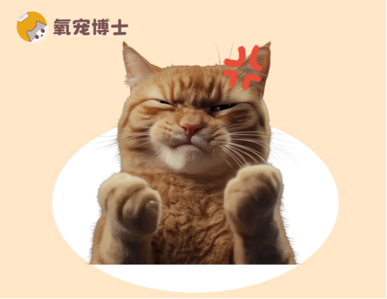 猫咪拉不出尿，一直蹲着怎么办？