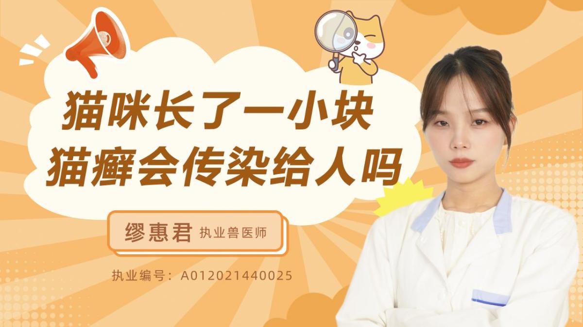猫咪长了一小块猫癣会传染给人吗？