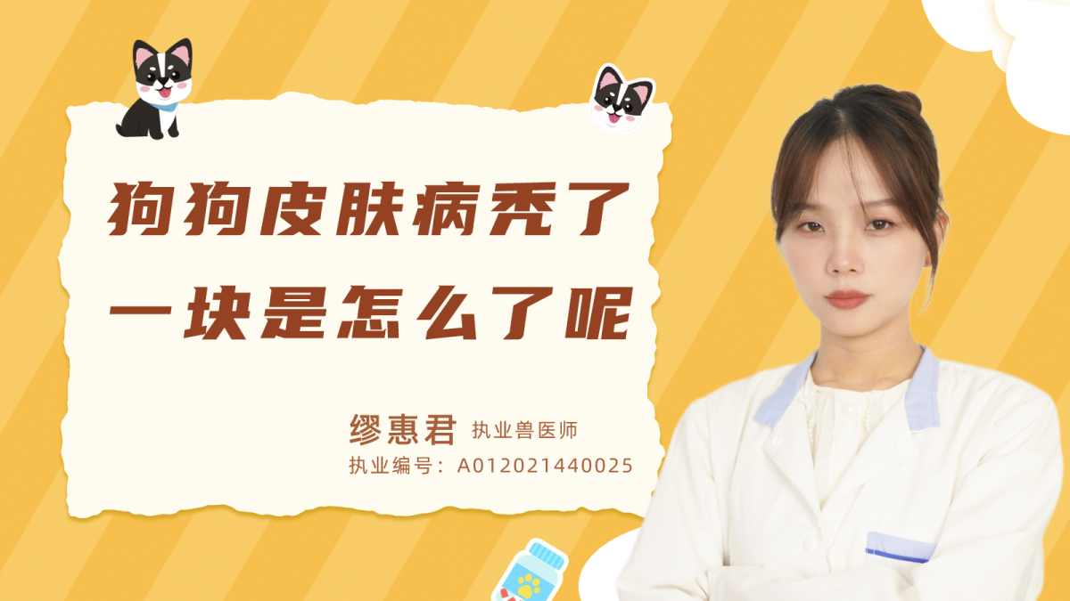 狗狗皮肤病秃了一块是怎么了呢？