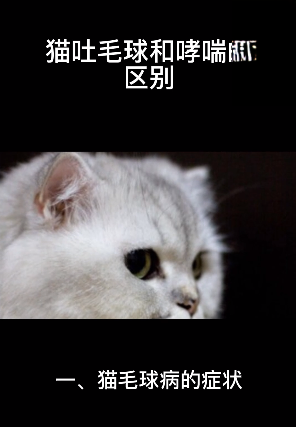 猫吐毛球和哮喘的区别