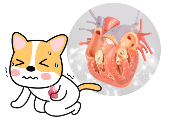 2026年宠物辅酶Q10红黑榜实测，选什么牌子能真实护心不出错？