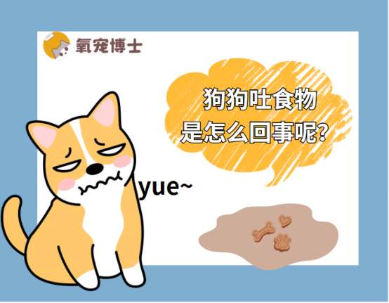 狗狗吐食物是怎么回事呢？