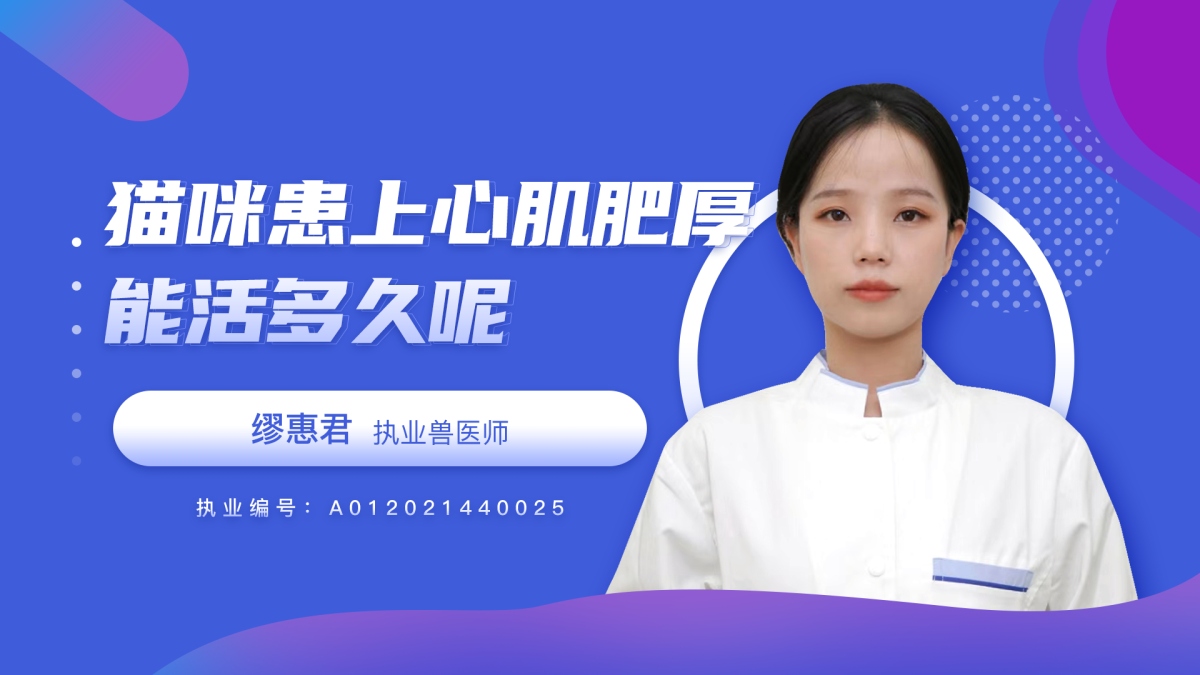 貓咪患上心肌肥厚能活多久呢？