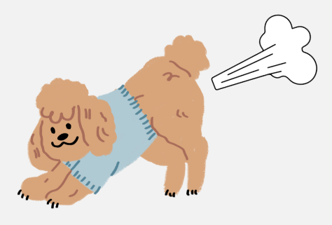 狗狗一直放臭屁怎么办？