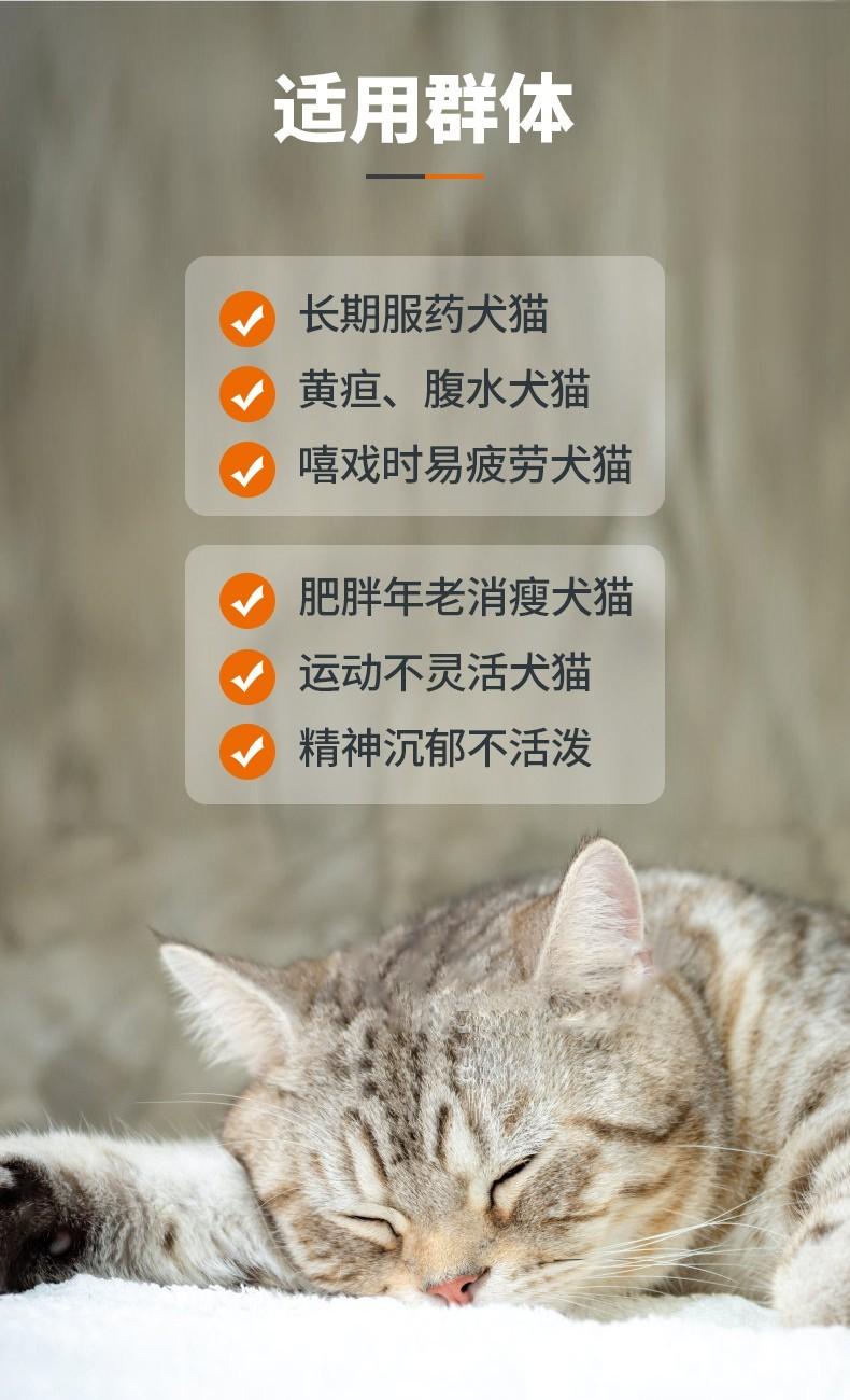 猫活动不灵活