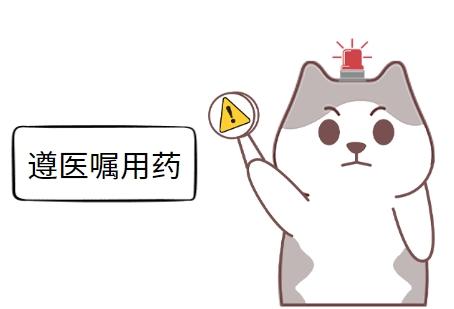 猫咪健康守护者：对抗猫鼻支的三大法宝