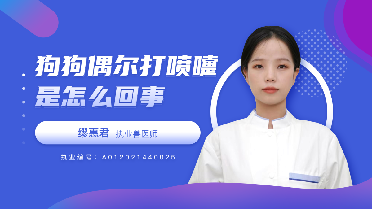 狗狗偶尔打喷嚏是怎么回事？