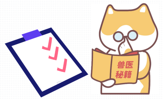 猫鼻支用药清单