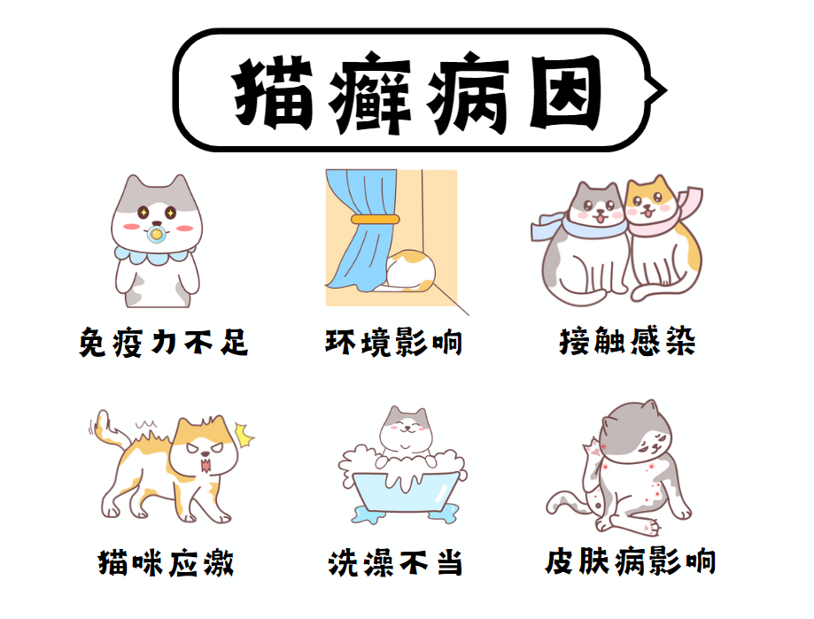 猫癣的病因是什么？