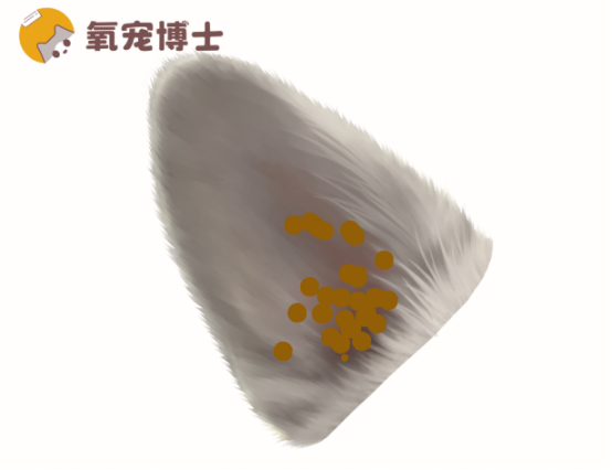 狗狗耳朵里有黑色的脏东西