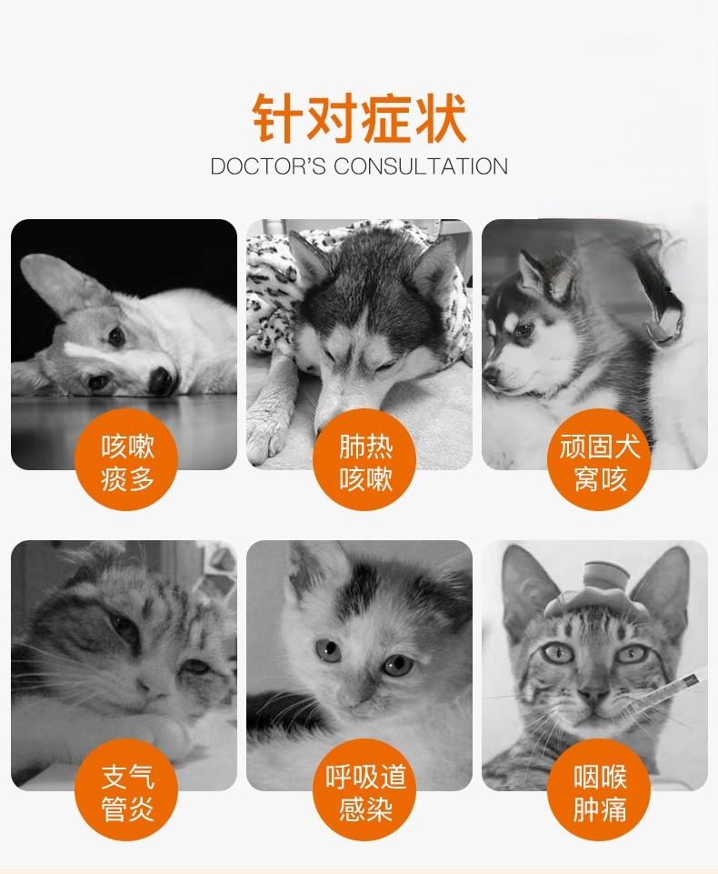 猫犬咳嗽咽喉肿痛