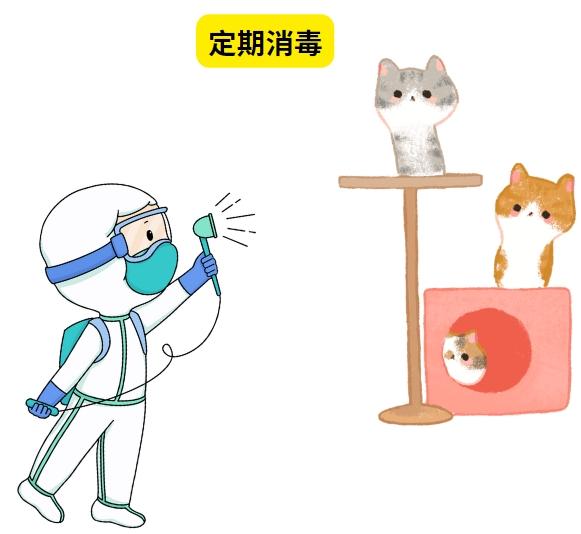 猫咪得猫鼻支一直不好但不严重怎么办？