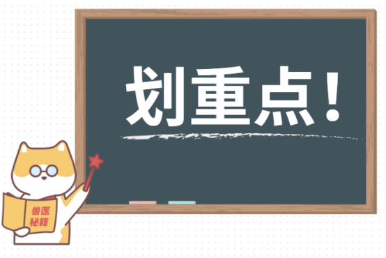猫咪泪痕越来越严重怎么治疗