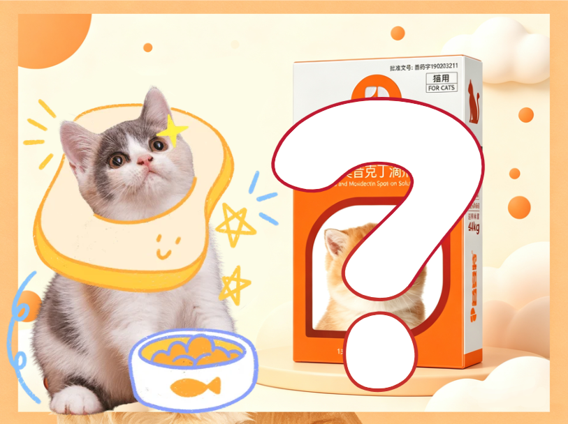 猫咪驱虫药选什么牌子好？什么驱虫药划算又好用？