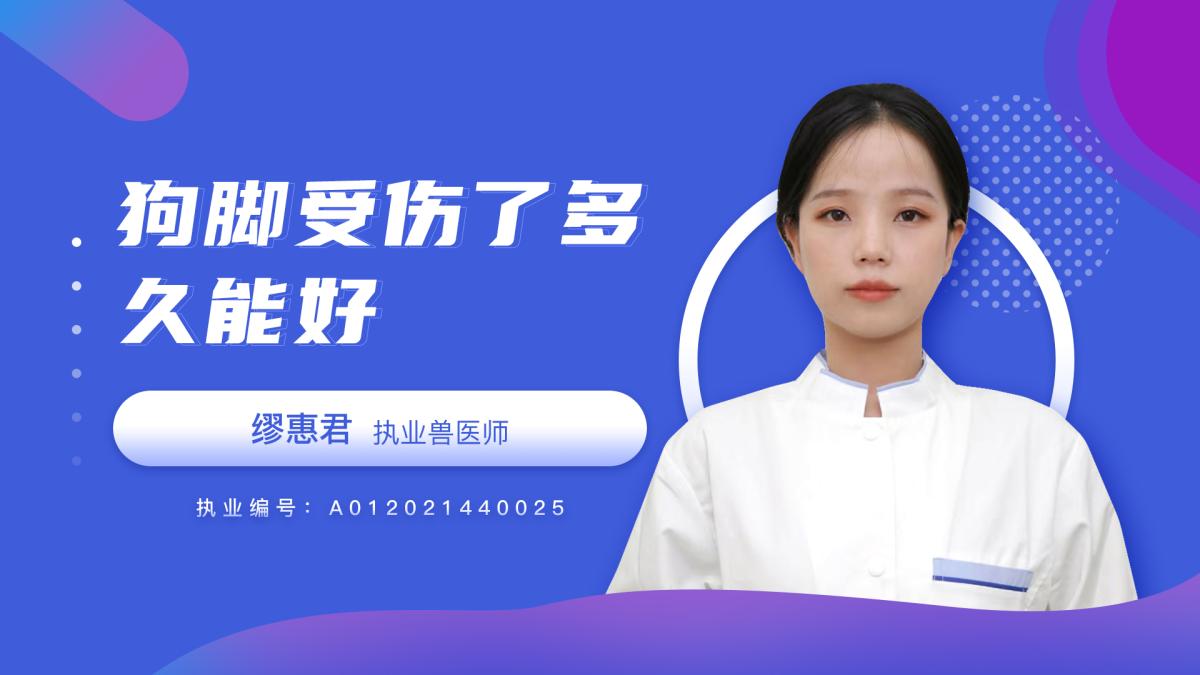 狗腳受傷了多久能好？
