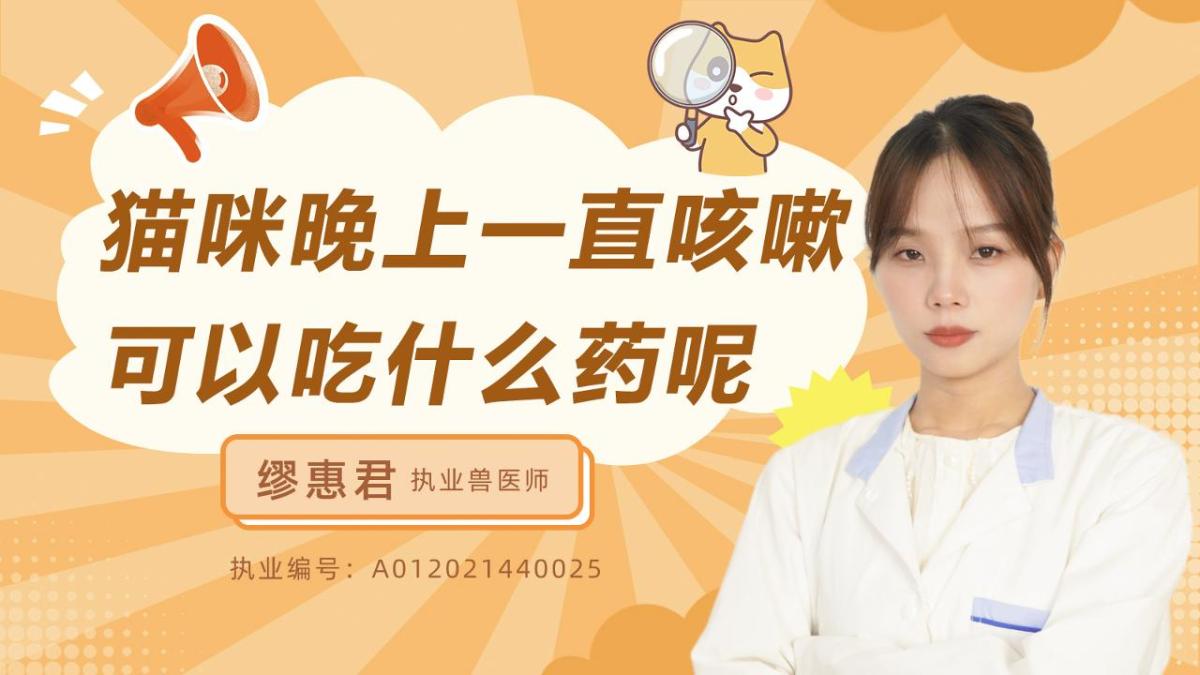 猫咪晚上一直咳嗽可以吃什么药呢？