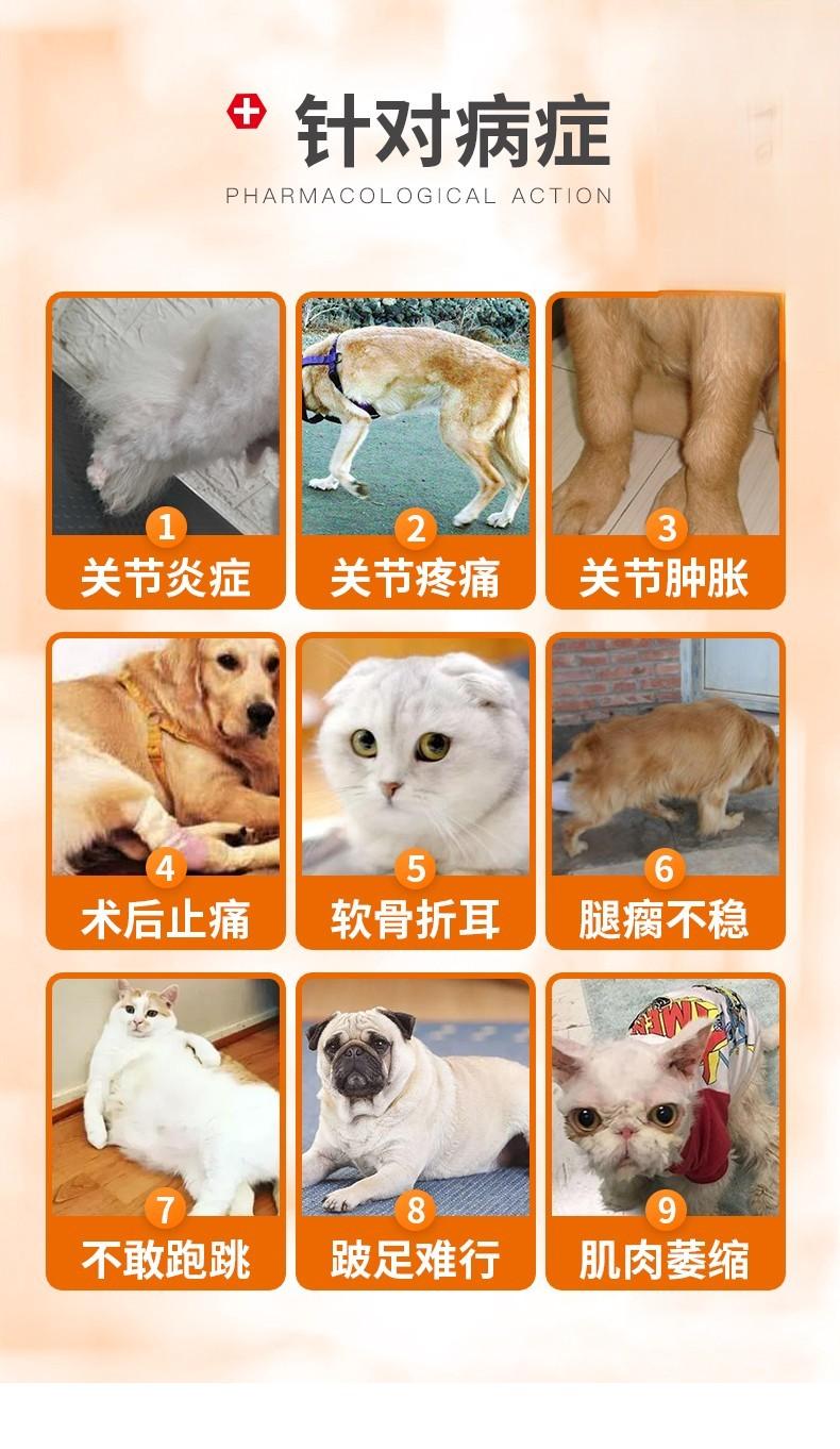 猫咪关节疼痛肿胀