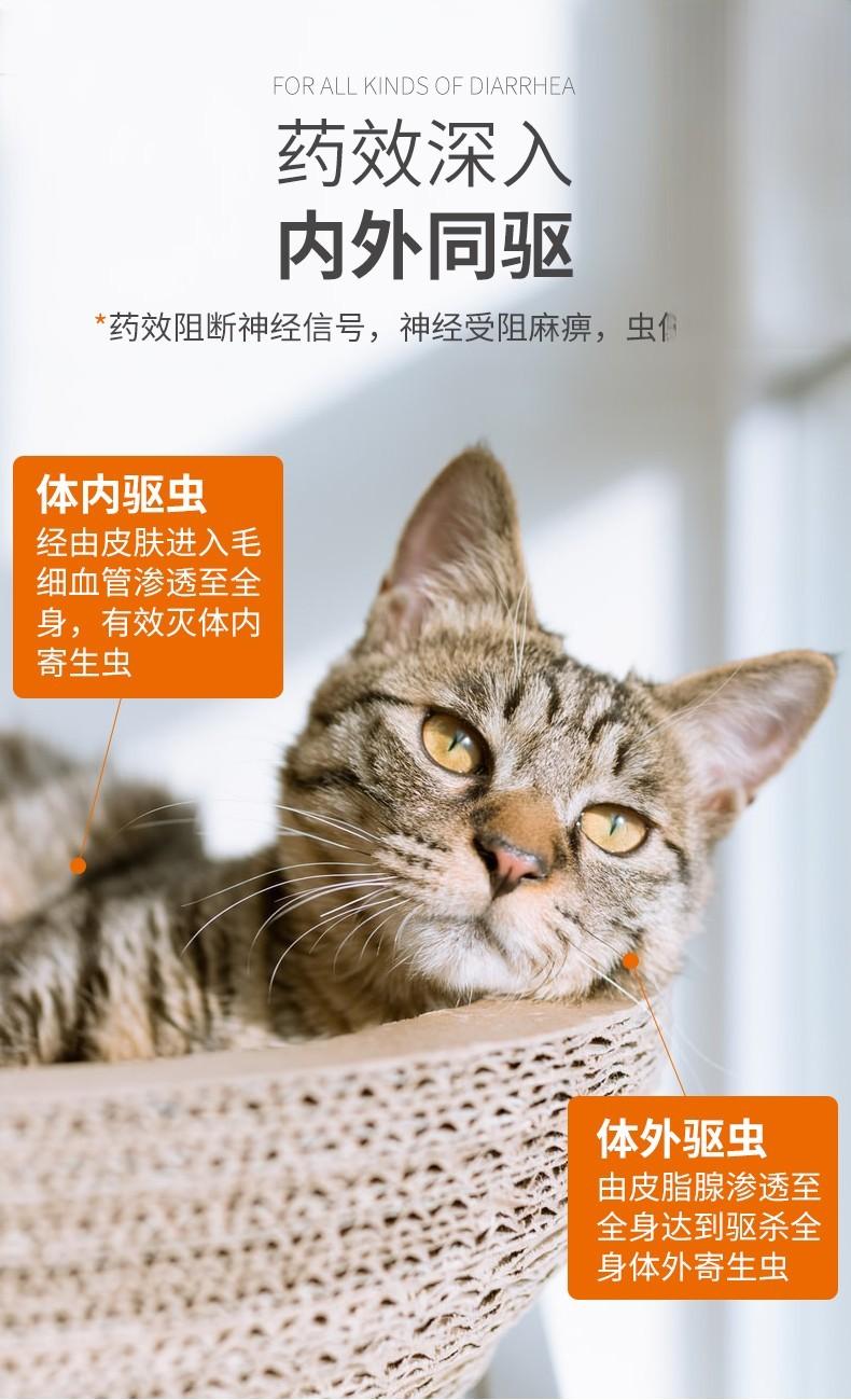 猫咪体内驱虫