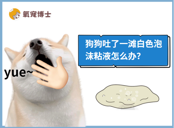 狗狗吐了一滩白色泡沫粘液？这些原因你必须知道！