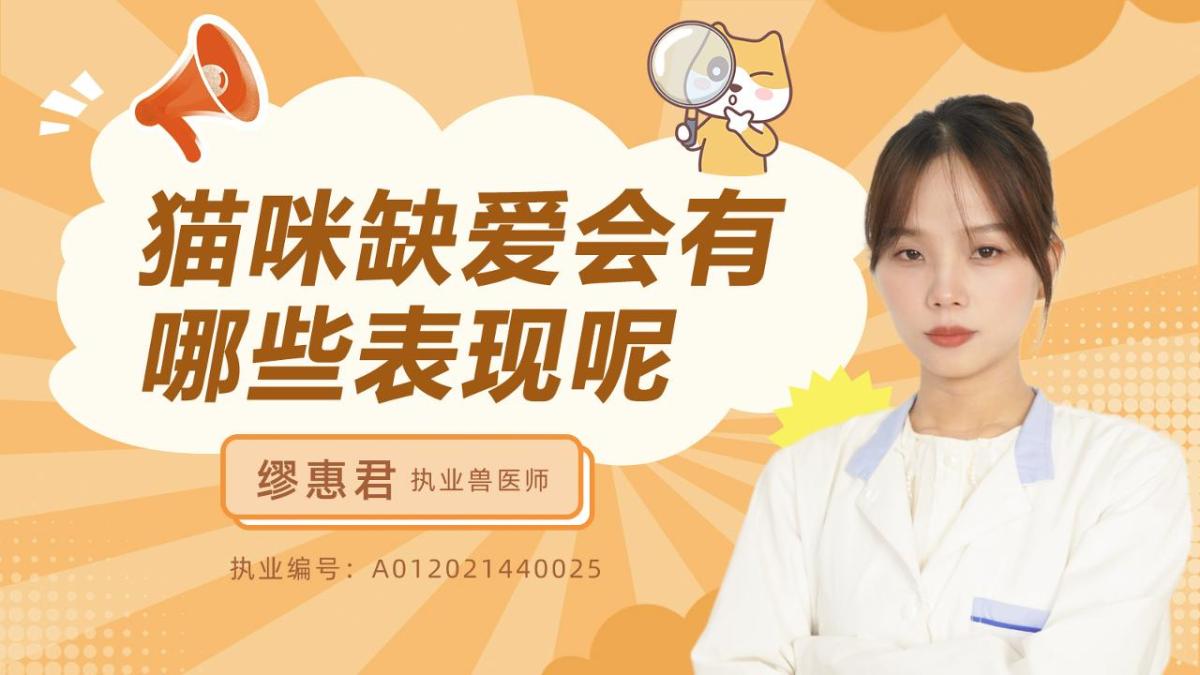 猫咪缺爱会有哪些表现呢?