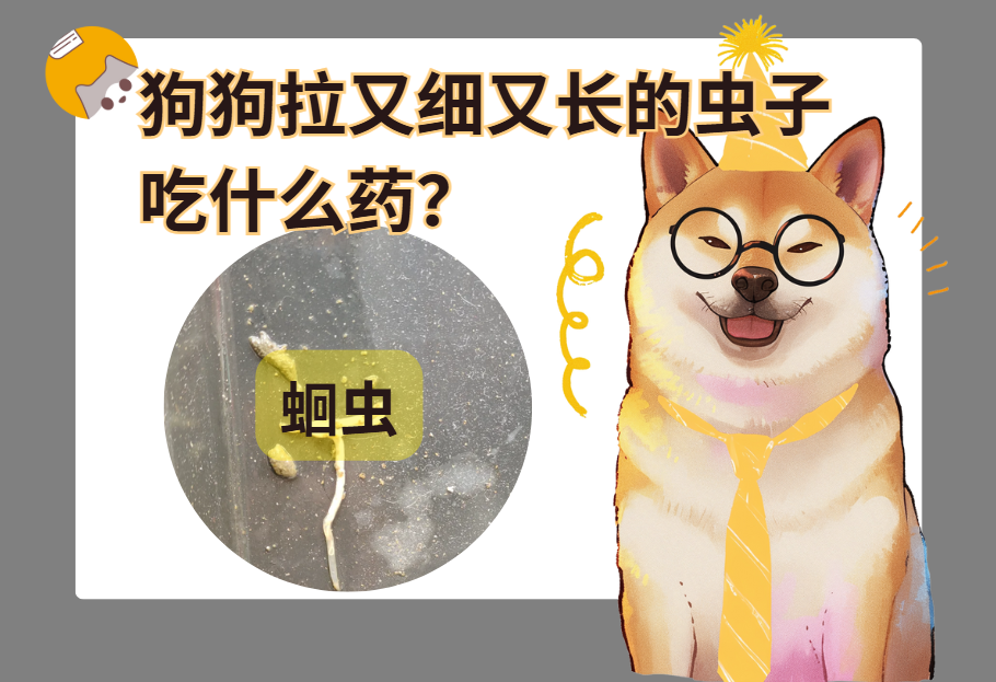 狗狗拉又细又长的虫子吃什么药？