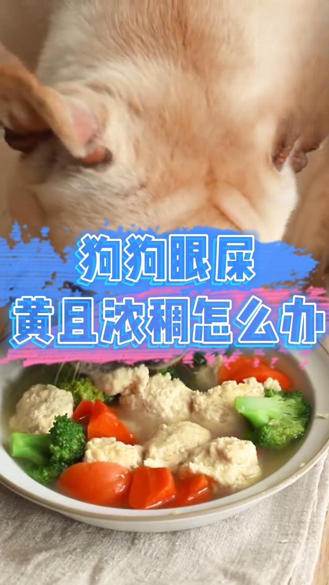 狗狗眼屎黃且濃稠怎麼辦？